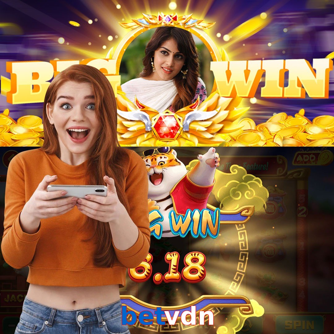 betvdn