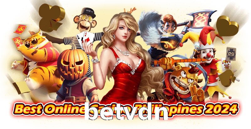 betvdn