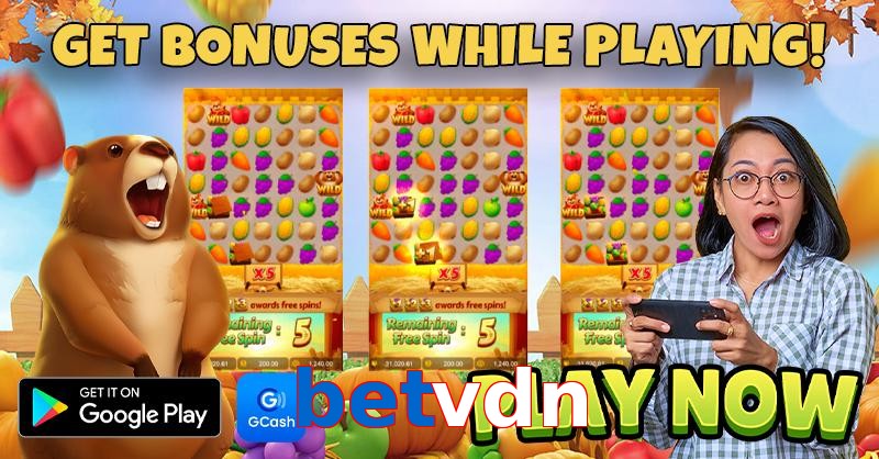 betvdn