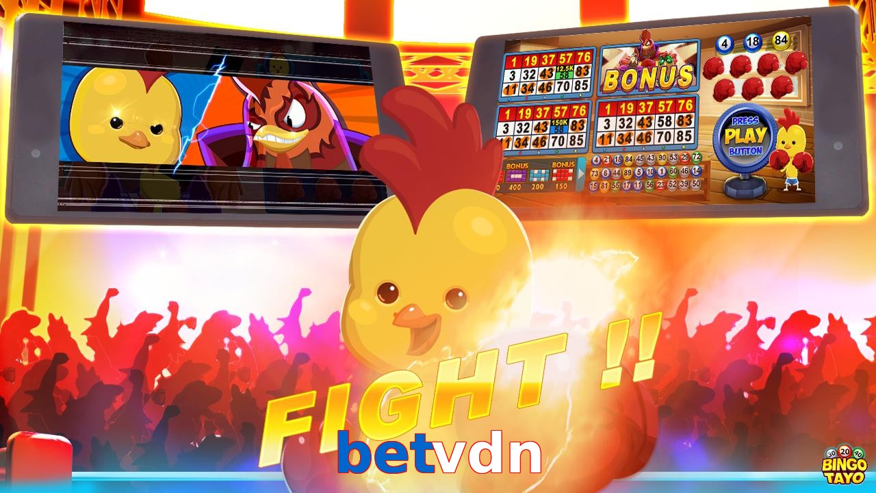 betvdn