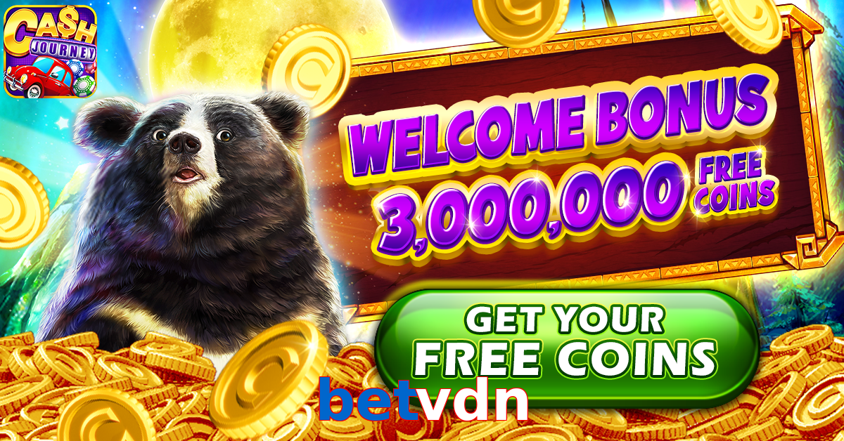 betvdn