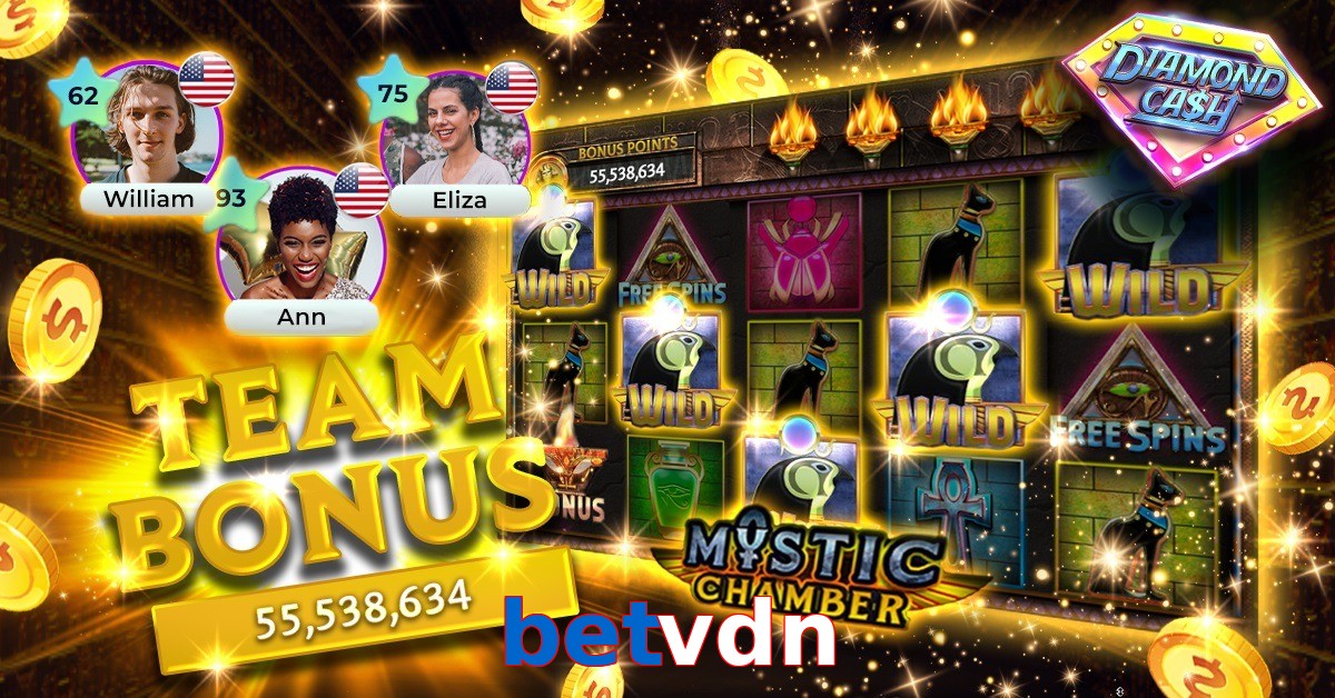 betvdn