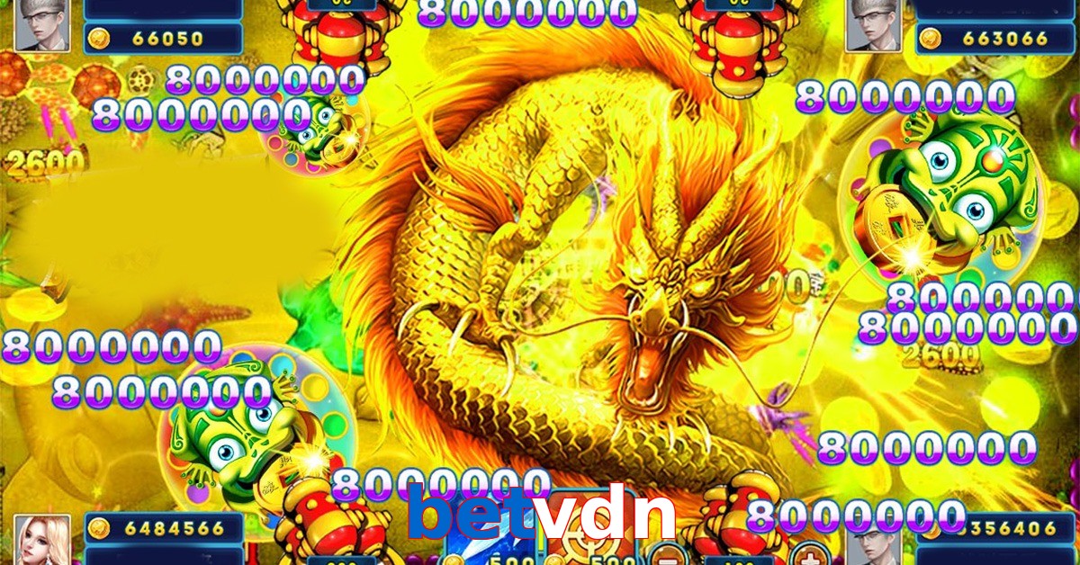 betvdn