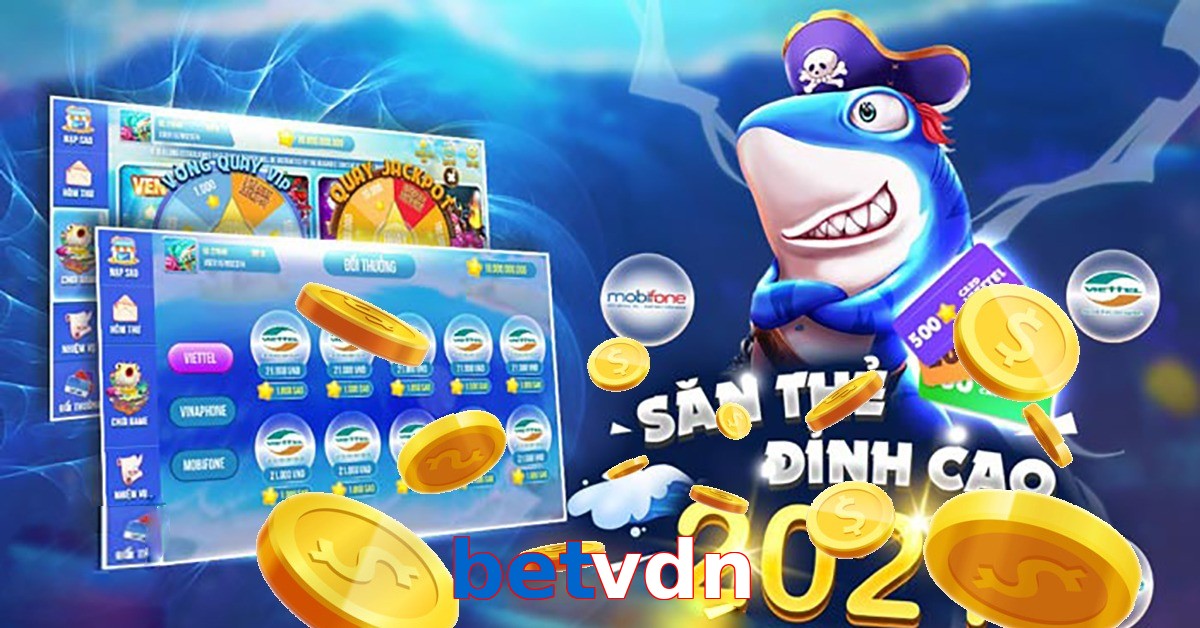 betvdn