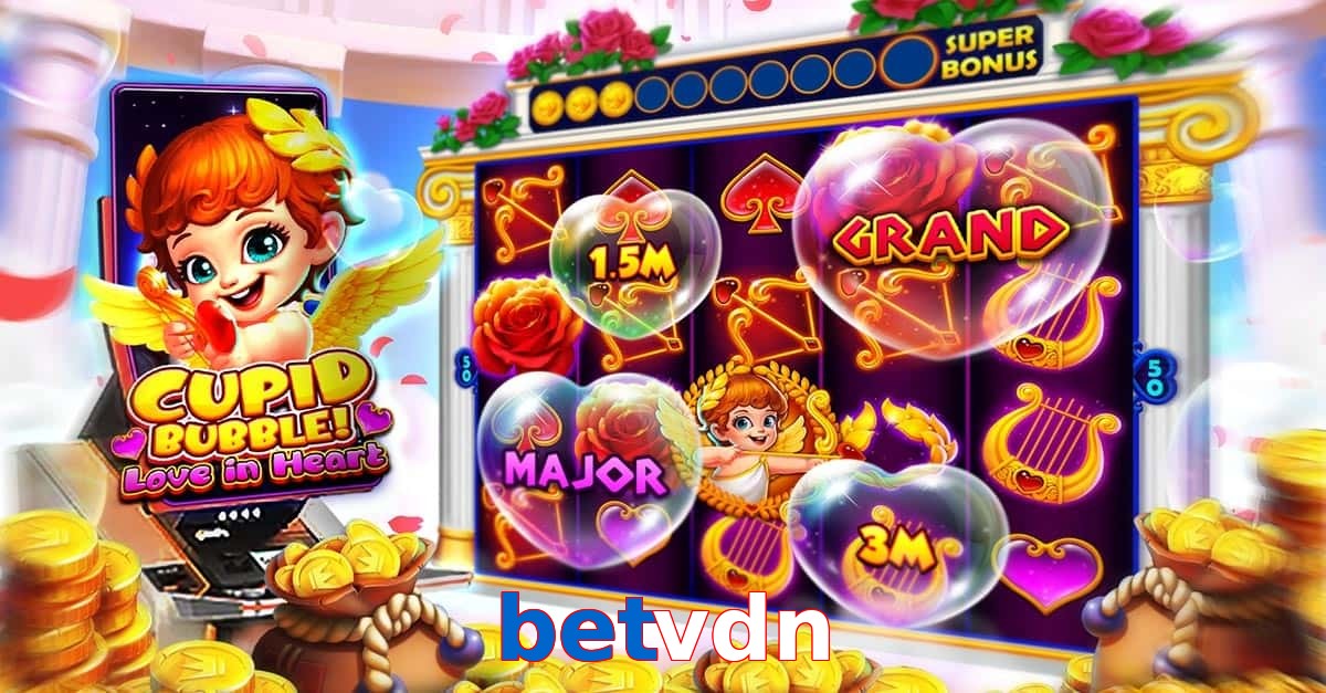 betvdn