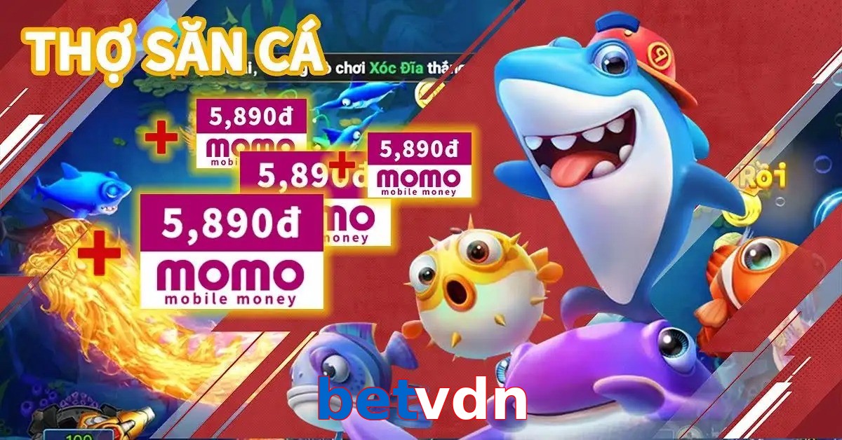 betvdn