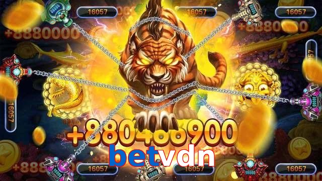 betvdn