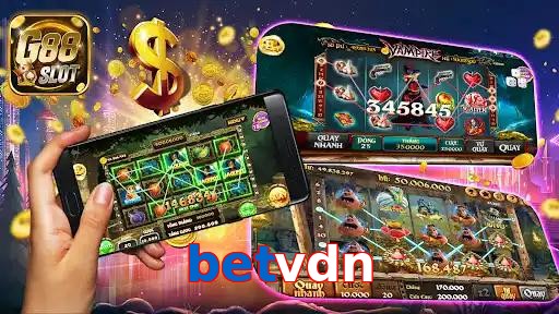 betvdn