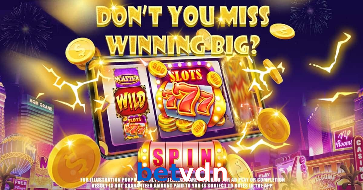 betvdn