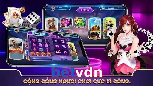 betvdn