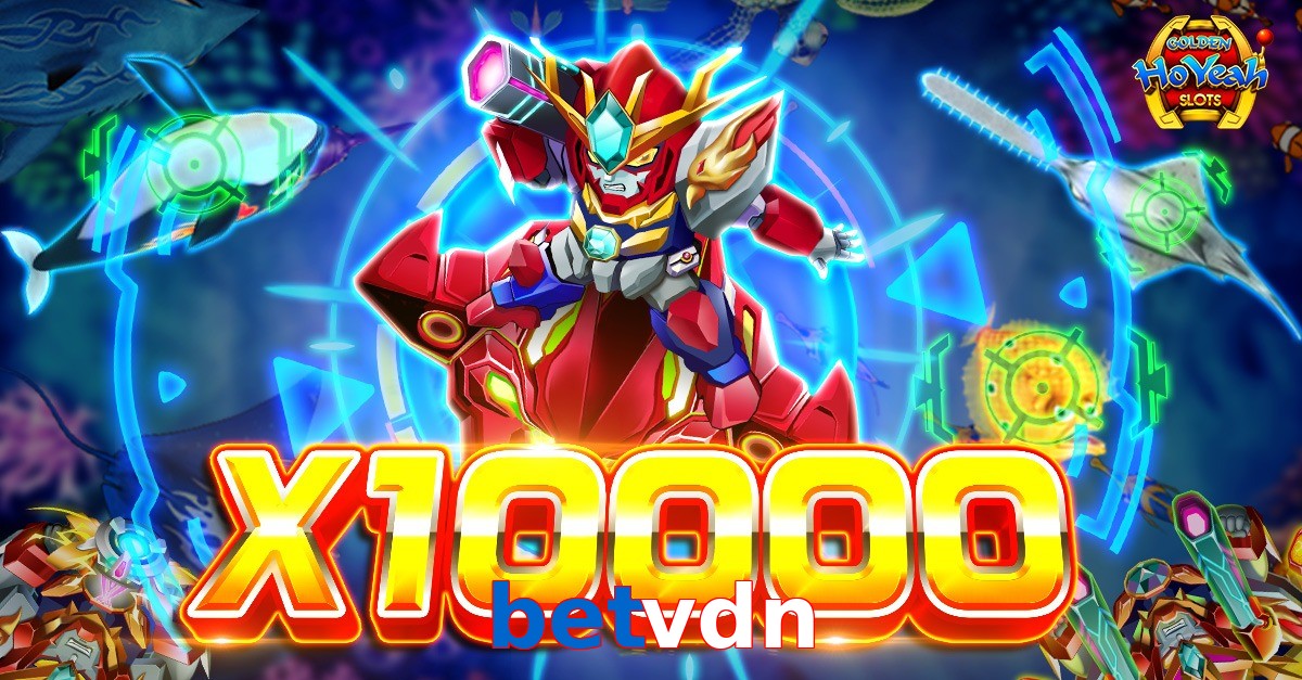 betvdn