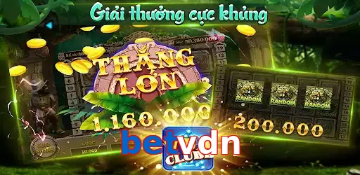 betvdn